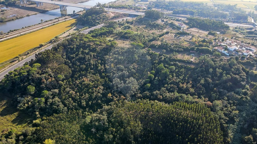 Terreno para Venda em Maiorca Foto 9