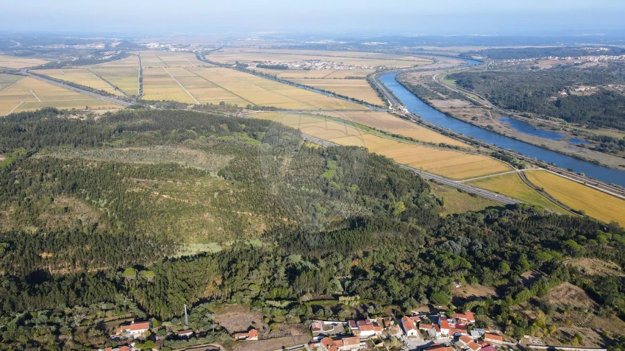 Terreno para Venda em Maiorca Foto 15