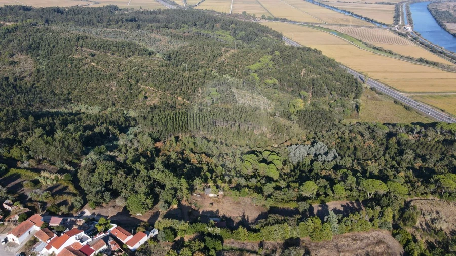 Terreno para Venda em Maiorca Foto 5