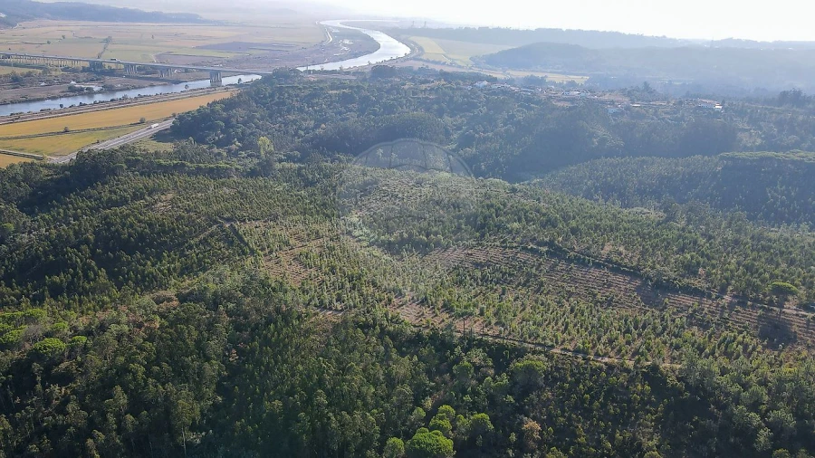 Terreno para Venda em Maiorca Foto 18