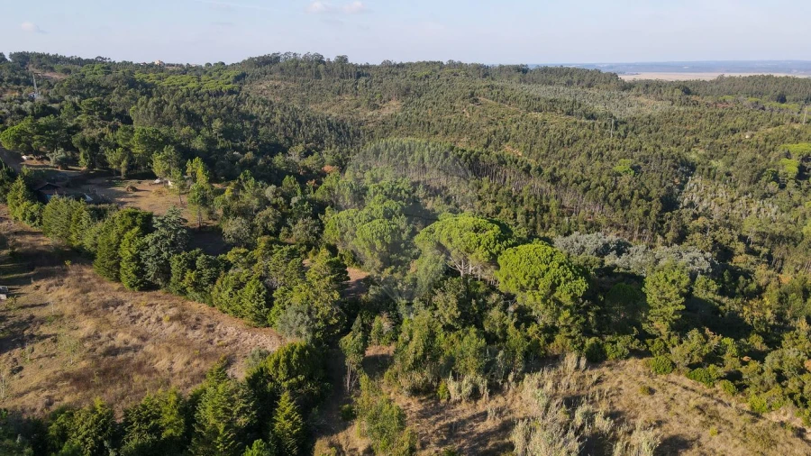 Terreno para Venda em Maiorca Foto 21