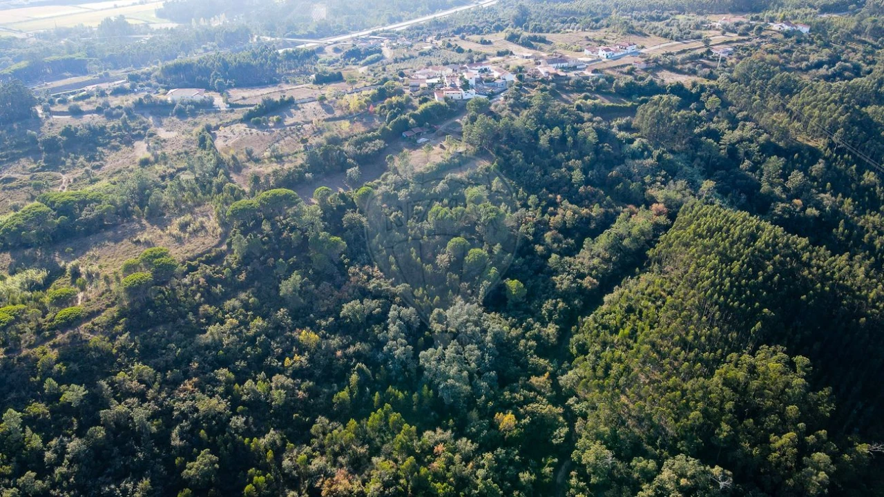 Terreno para Venda em Maiorca Foto 10