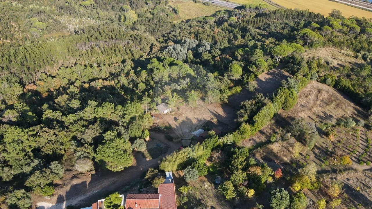 Terreno para Venda em Maiorca Foto 26