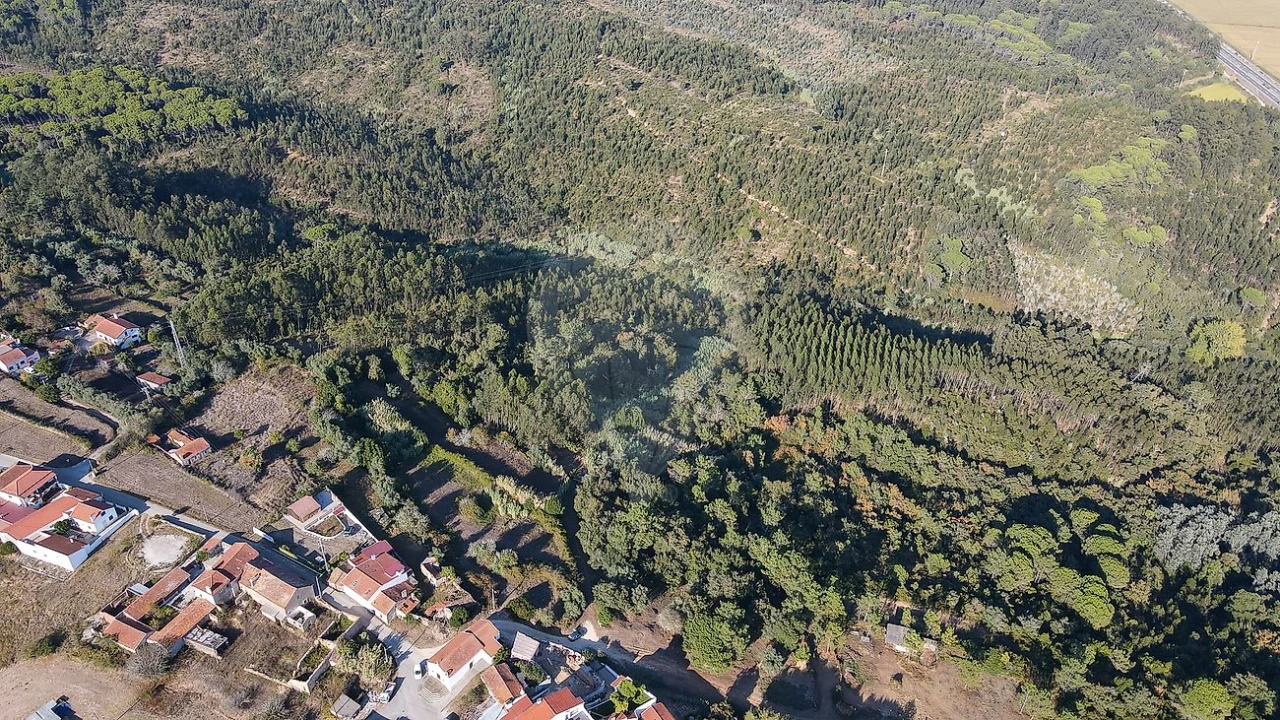 Terreno para Venda em Maiorca Foto 4