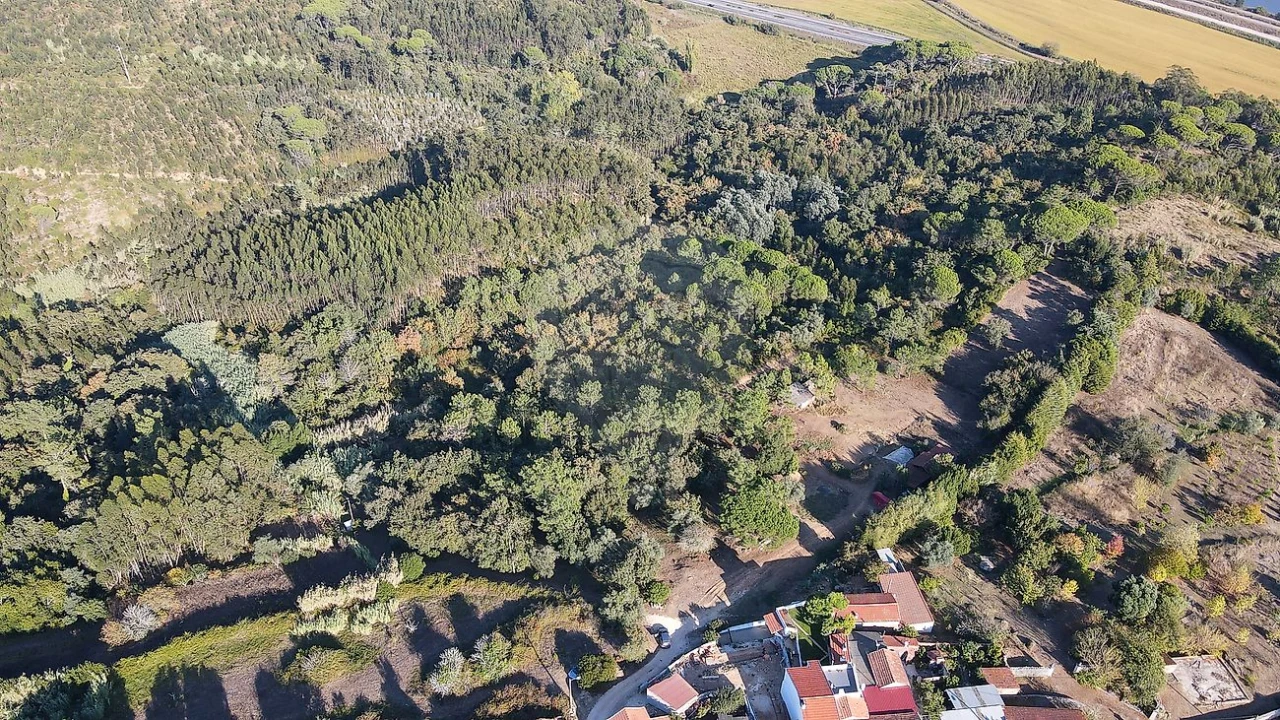 Terreno para Venda em Maiorca Foto 14