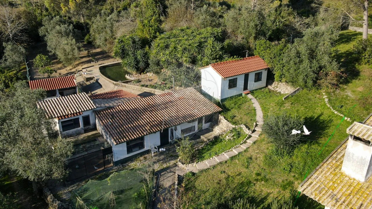 Moradia T2 para Venda em Maiorca Foto 37