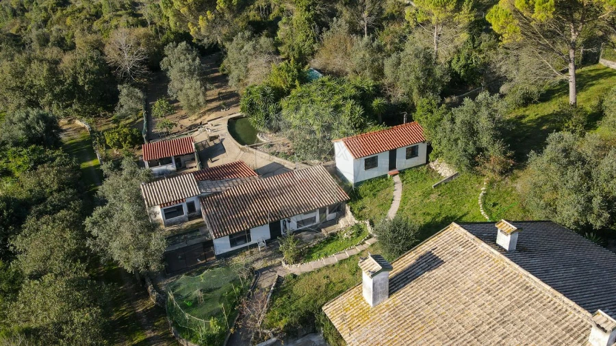 Moradia T2 para Venda em Maiorca Foto 36