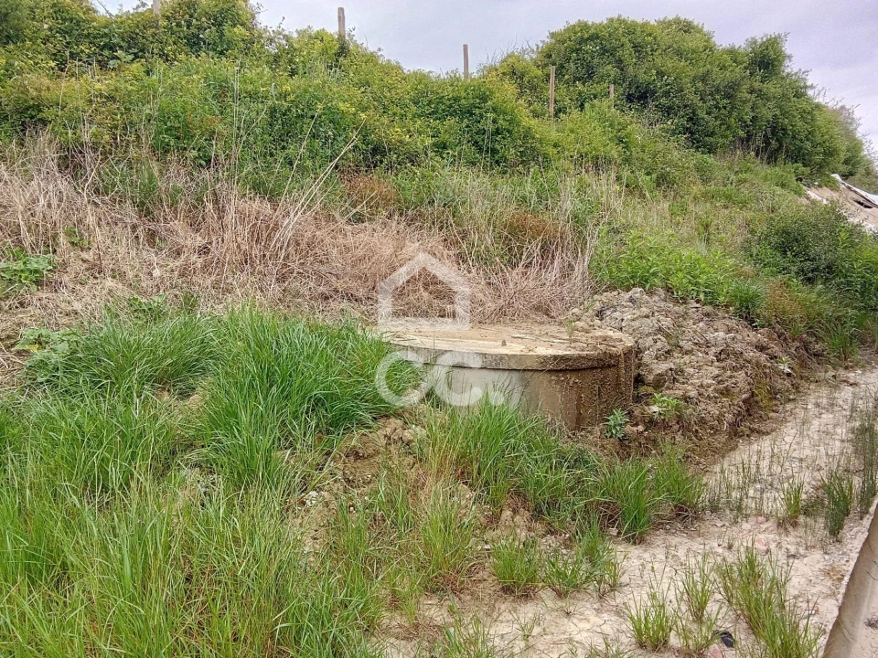 Terreno para Venda em Miragaia e Marteleira Foto 4