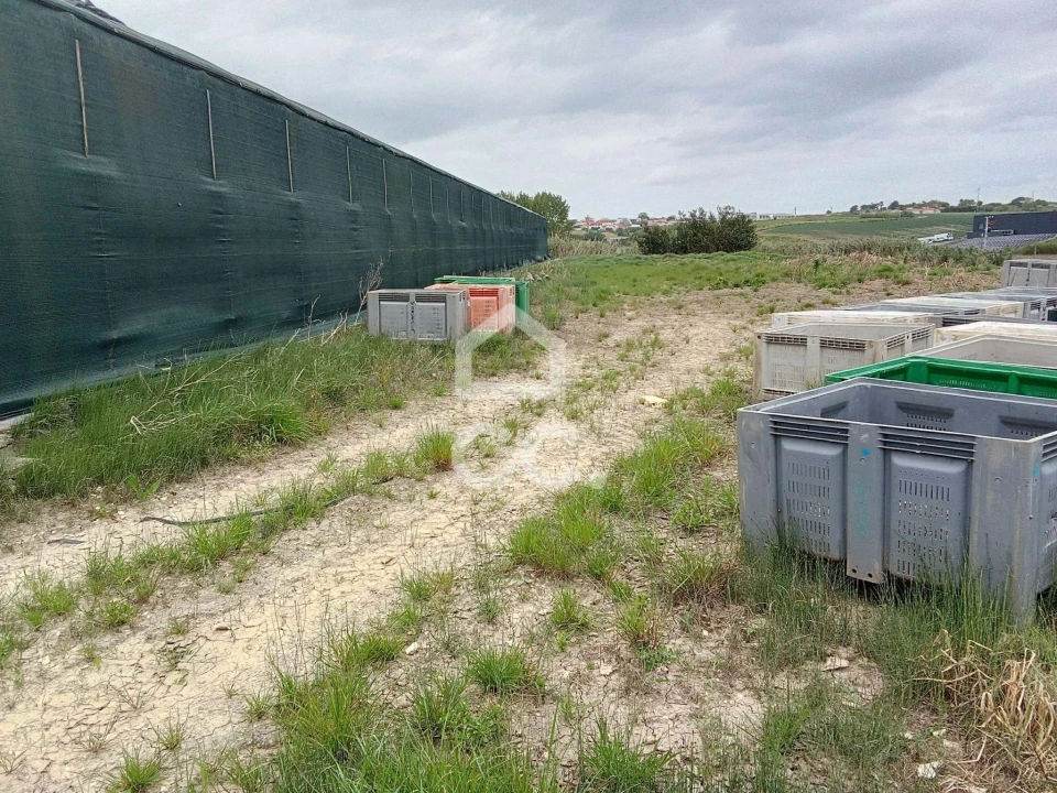 Terreno para Venda em Miragaia e Marteleira Foto 15