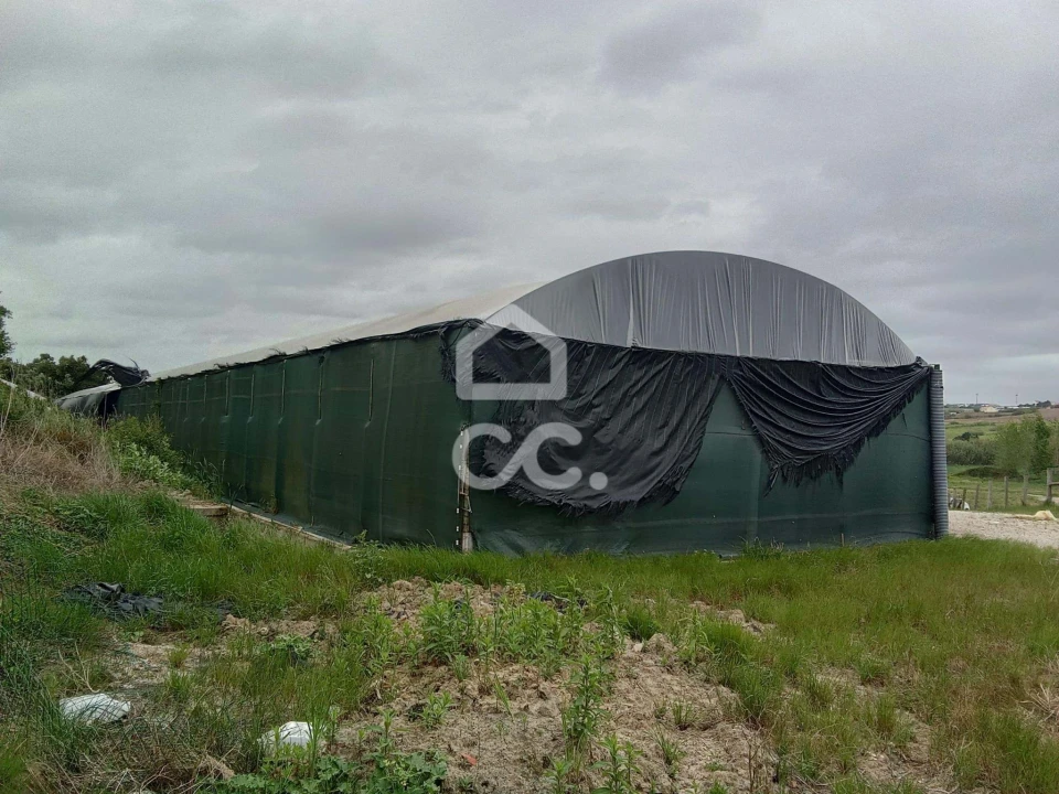 Terreno para Venda em Miragaia e Marteleira Foto 6