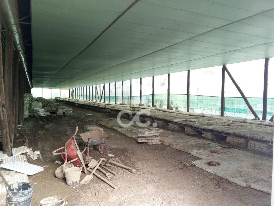 Terreno para Venda em Miragaia e Marteleira Foto 9