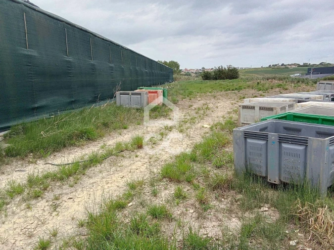 Terreno para Venda em Miragaia e Marteleira Foto 15