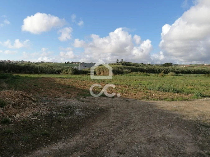 Terreno para Venda em Miragaia e Marteleira Foto 17