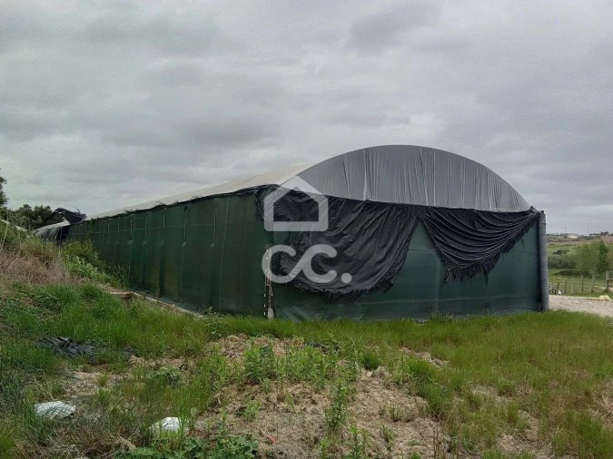Terreno para Venda em Miragaia e Marteleira Foto 6