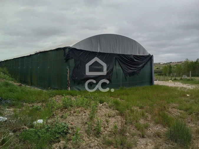 Terreno para Venda em Miragaia e Marteleira Foto 11