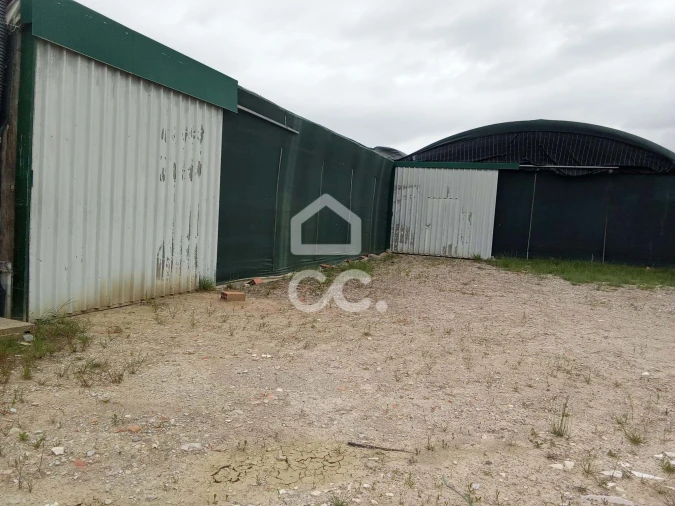 Terreno para Venda em Miragaia e Marteleira Foto 7