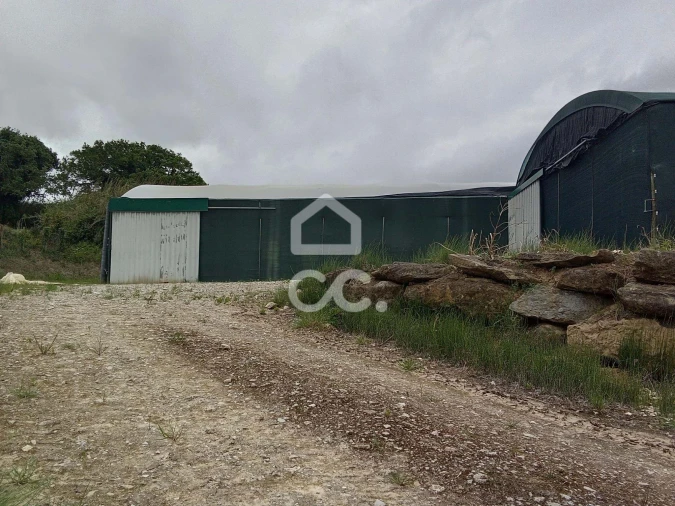 Terreno para Venda em Miragaia e Marteleira Foto 8