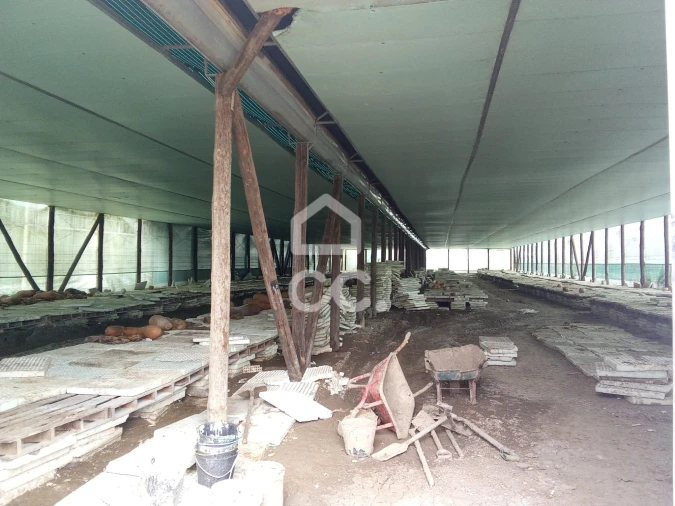 Terreno para Venda em Miragaia e Marteleira Foto 10