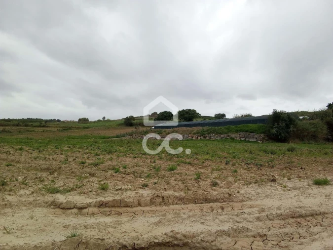 Terreno para Venda em Miragaia e Marteleira Foto 3