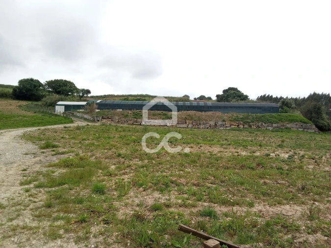 Terreno para Venda em Miragaia e Marteleira Foto 5