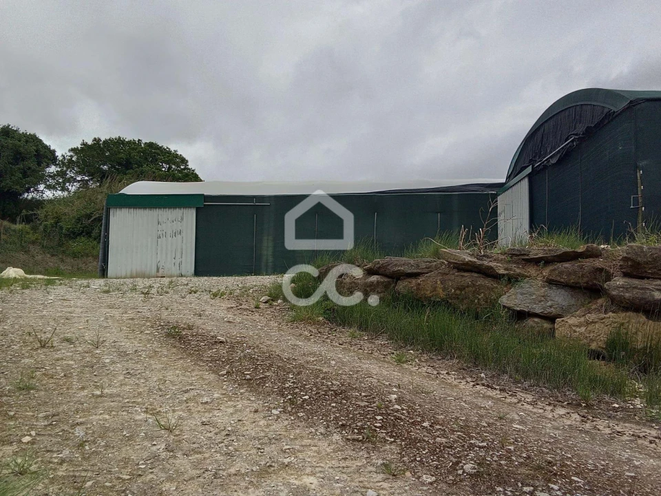 Terreno para Venda em Miragaia e Marteleira Foto 8