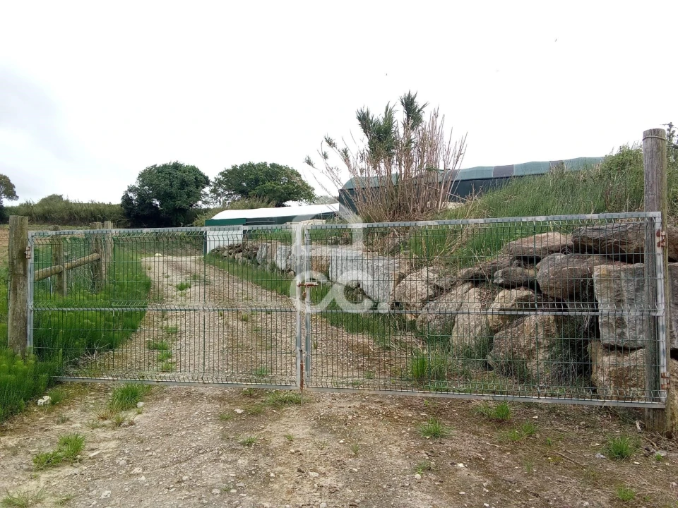 Terreno para Venda em Miragaia e Marteleira Foto 19