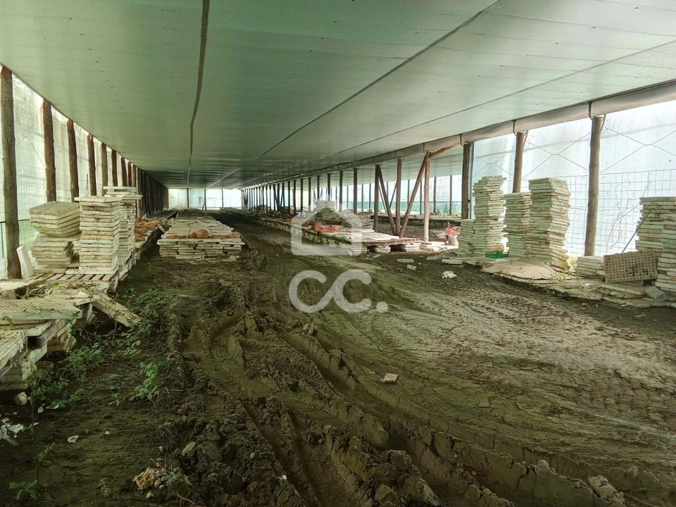 Terreno para Venda em Miragaia e Marteleira Foto 13