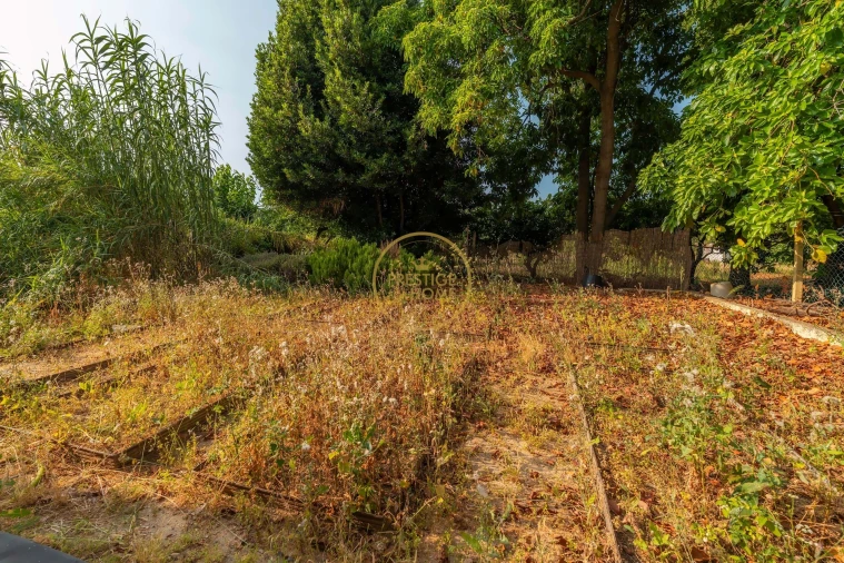 Negócio para Trespasse em Almancil Foto 40