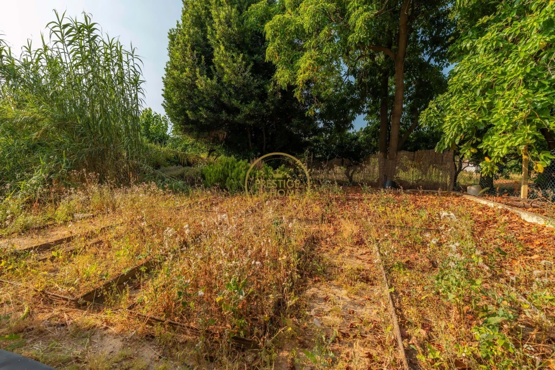 Negócio para Trespasse em Almancil Foto 40