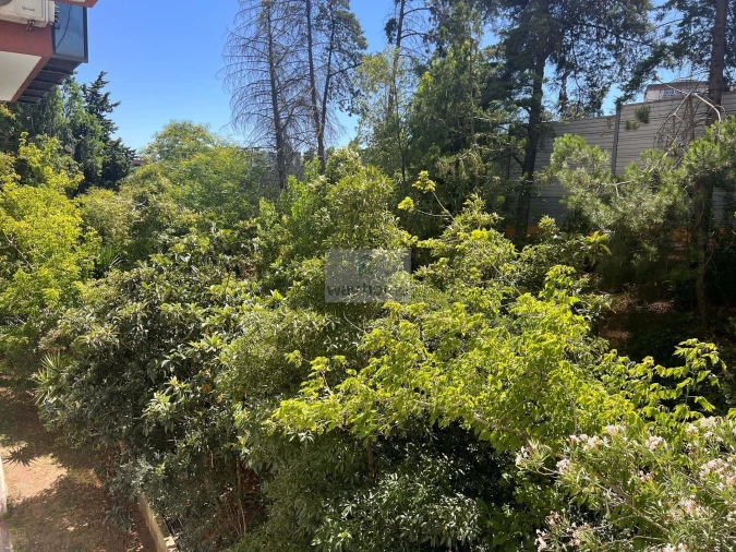 Negócio para Arrendamento em Odivelas Foto 8