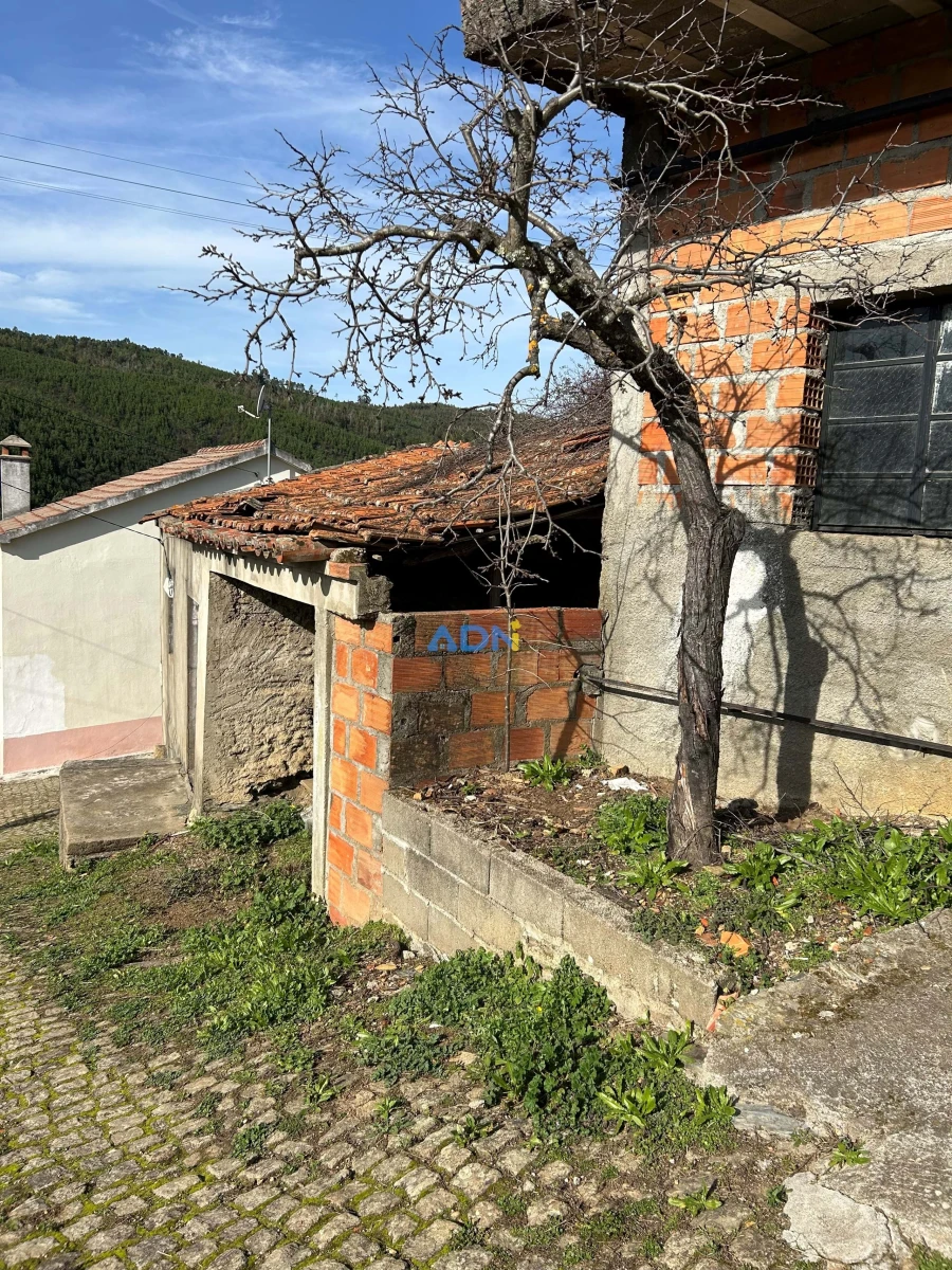 Terreno para Venda em Sarnadas de São Simão Foto 5
