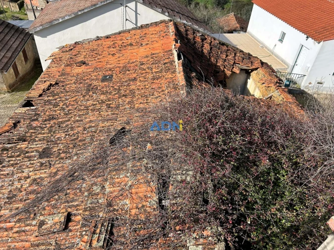 Terreno para Venda em Sarnadas de São Simão Foto 6