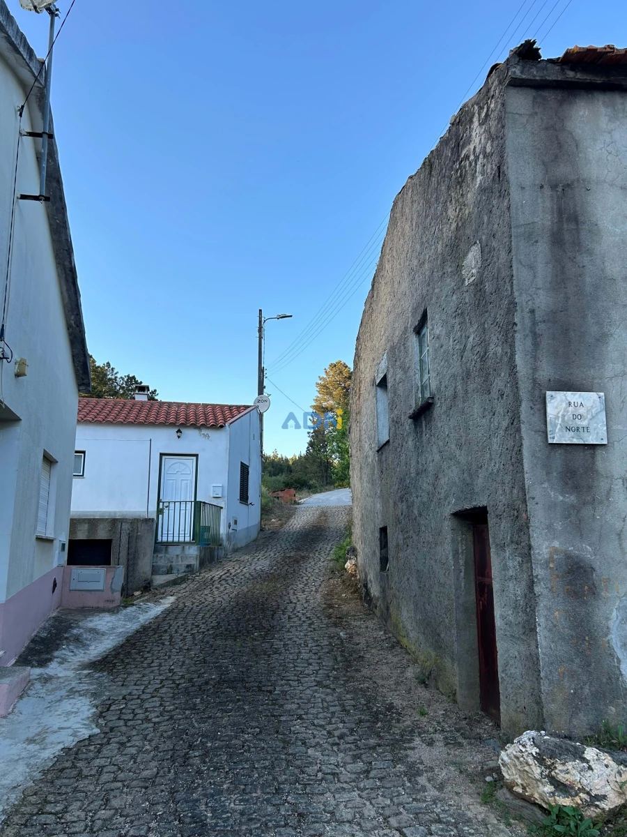 Terreno para Venda em Sarnadas de São Simão Foto 8