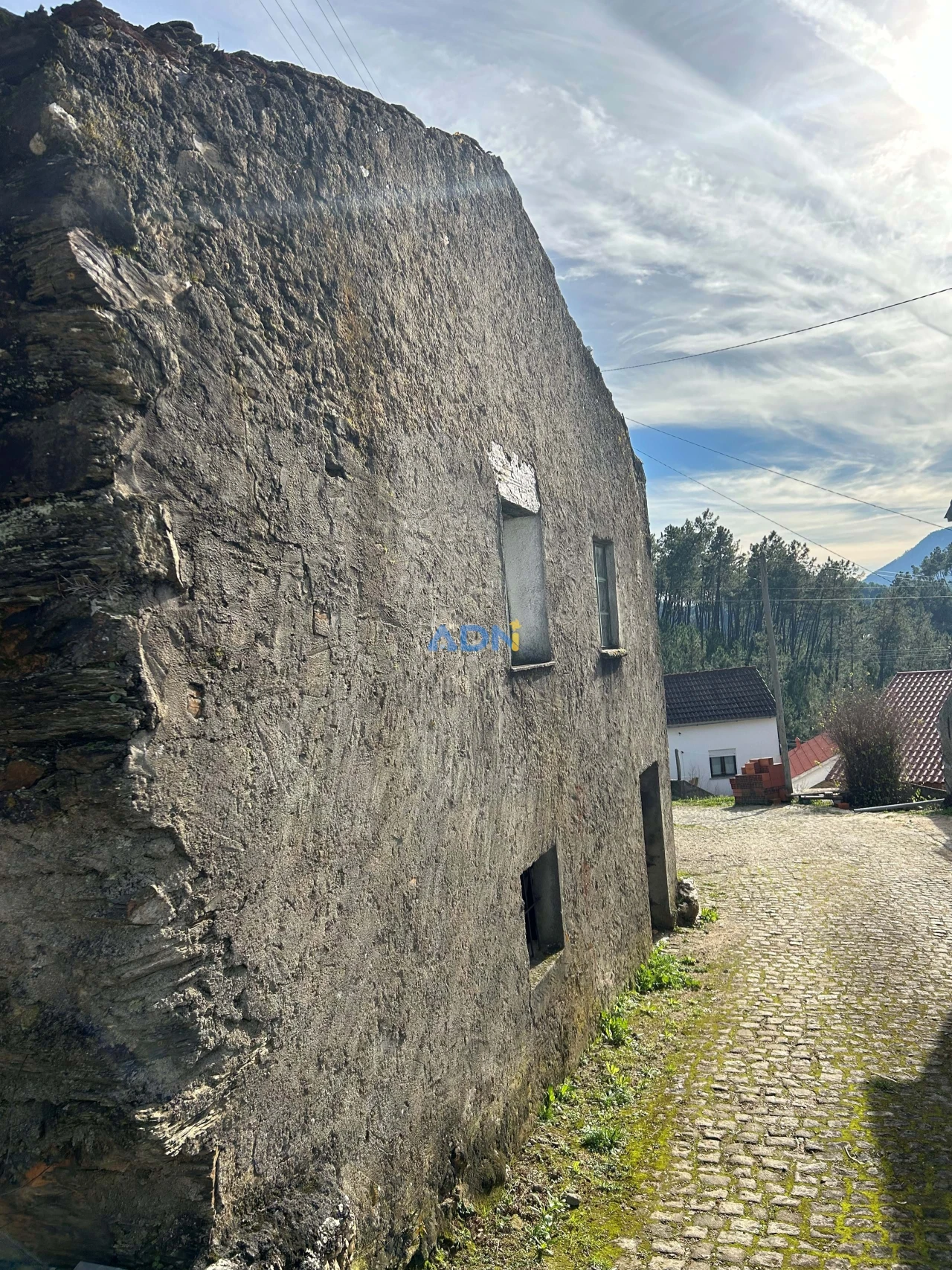 Terreno para Venda em Sarnadas de São Simão Foto 7