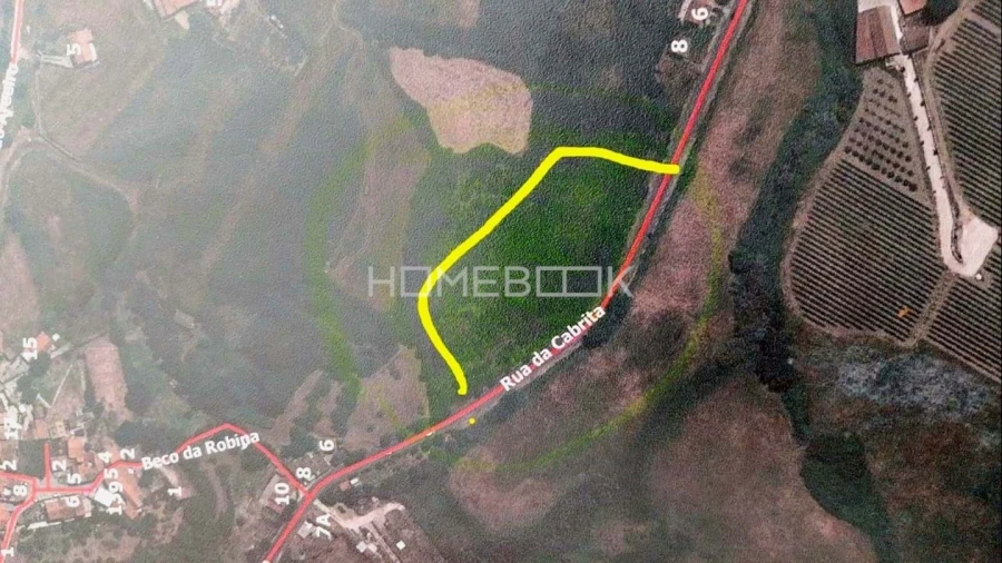 Terreno Agricola ou Rústico para Venda em Santo Quintino Foto 3