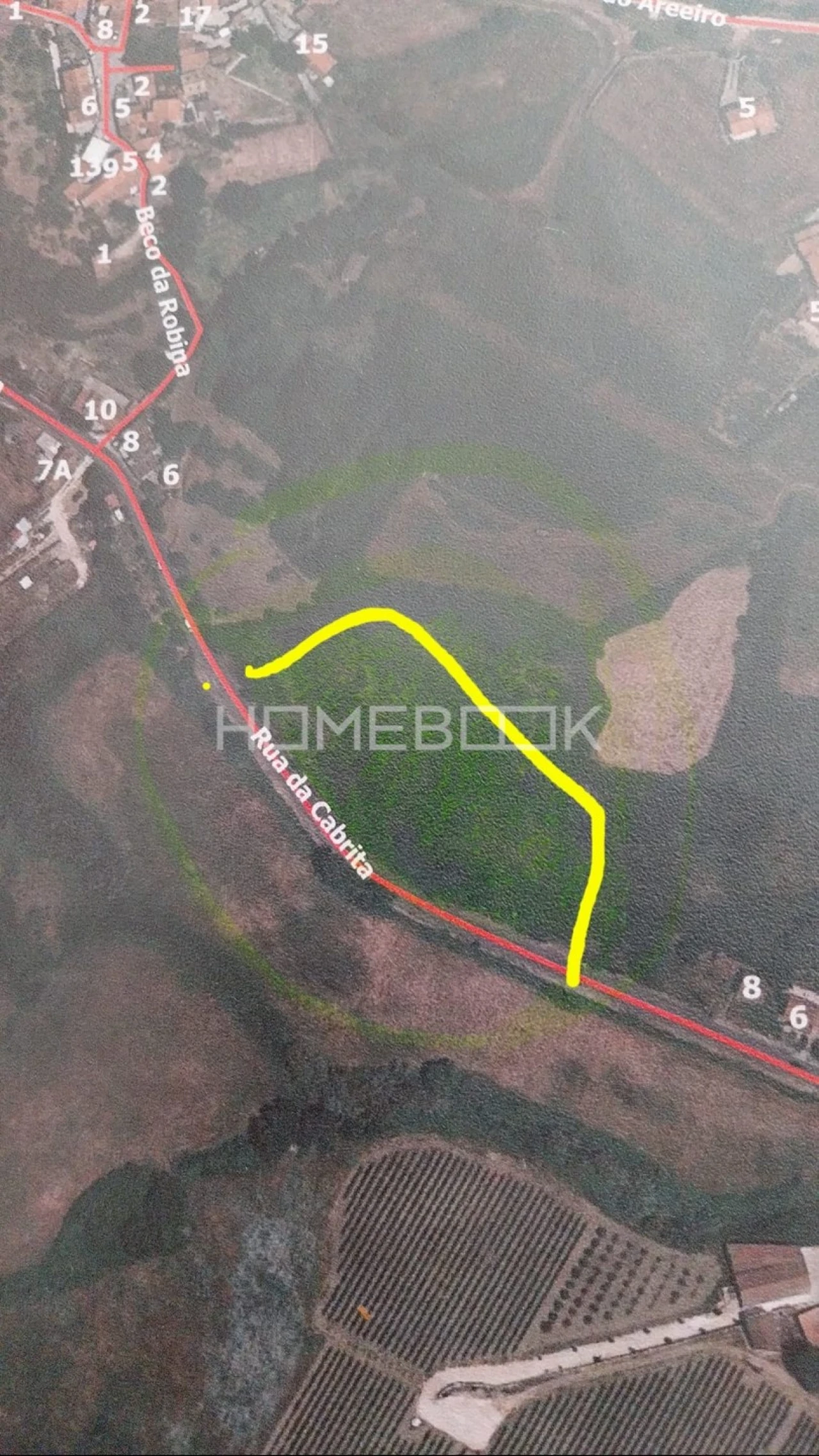 Terreno Agricola ou Rústico para Venda em Santo Quintino Foto 5