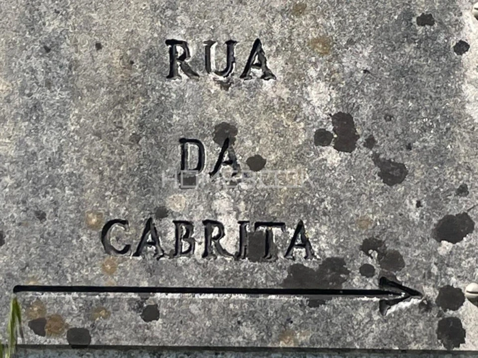 Terreno Agricola ou Rústico para Venda em Santo Quintino Foto 5