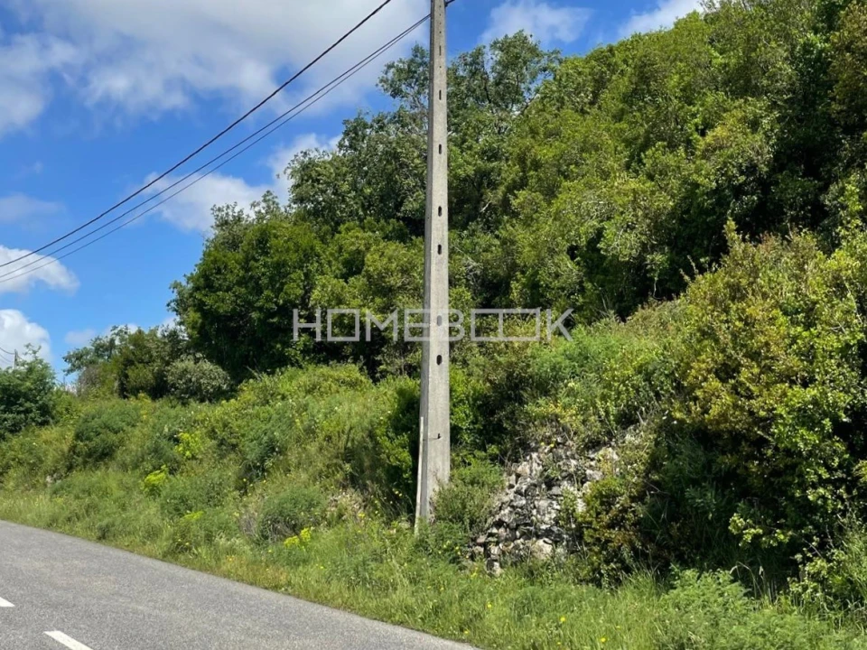 Terreno Agricola ou Rústico para Venda em Santo Quintino Foto 2