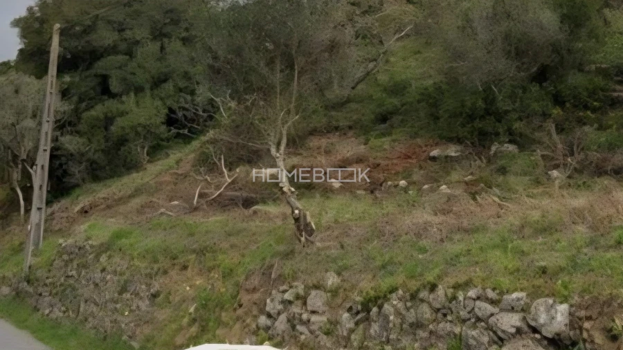 Terreno Agricola ou Rústico para Venda em Santo Quintino