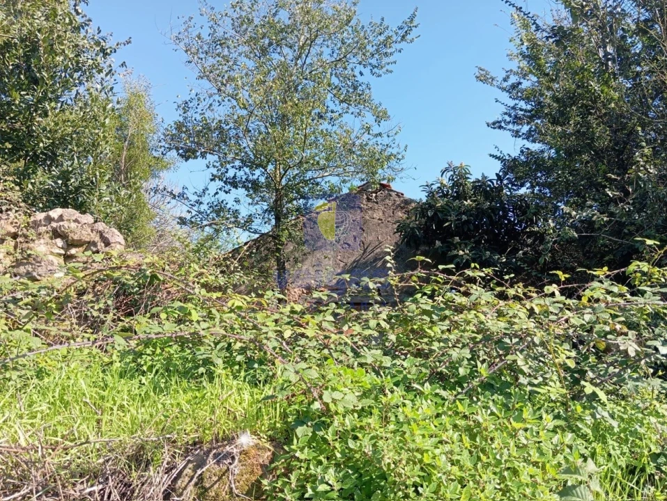 Terreno para Venda em Carvalhal Benfeito Foto 7