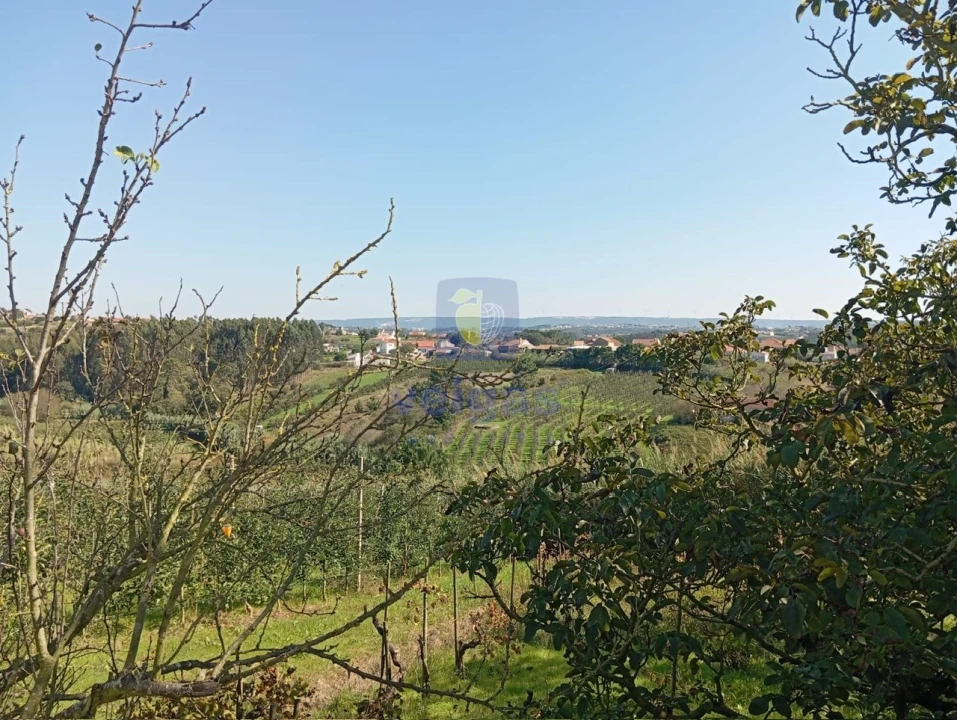 Terreno para Venda em Carvalhal Benfeito Foto 4