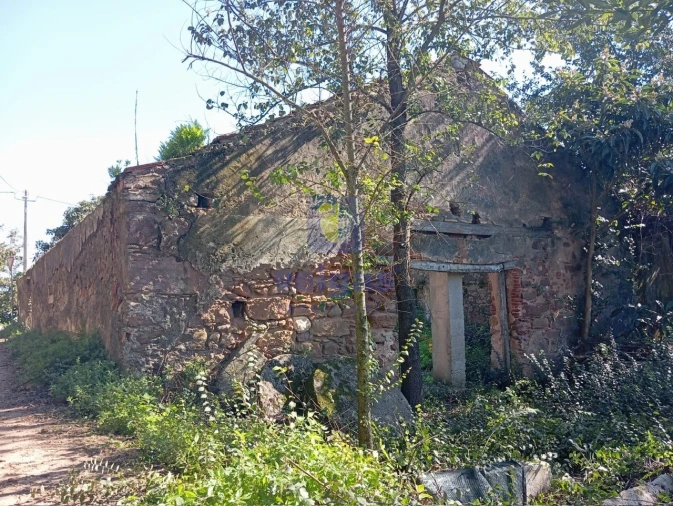 Terreno para Venda em Carvalhal Benfeito Foto 5