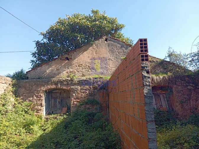 Terreno para Venda em Carvalhal Benfeito Foto 9