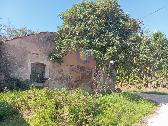 Terreno para Venda em Carvalhal Benfeito Foto 6