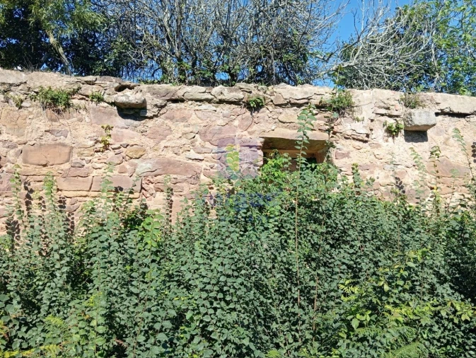 Terreno para Venda em Carvalhal Benfeito Foto 8