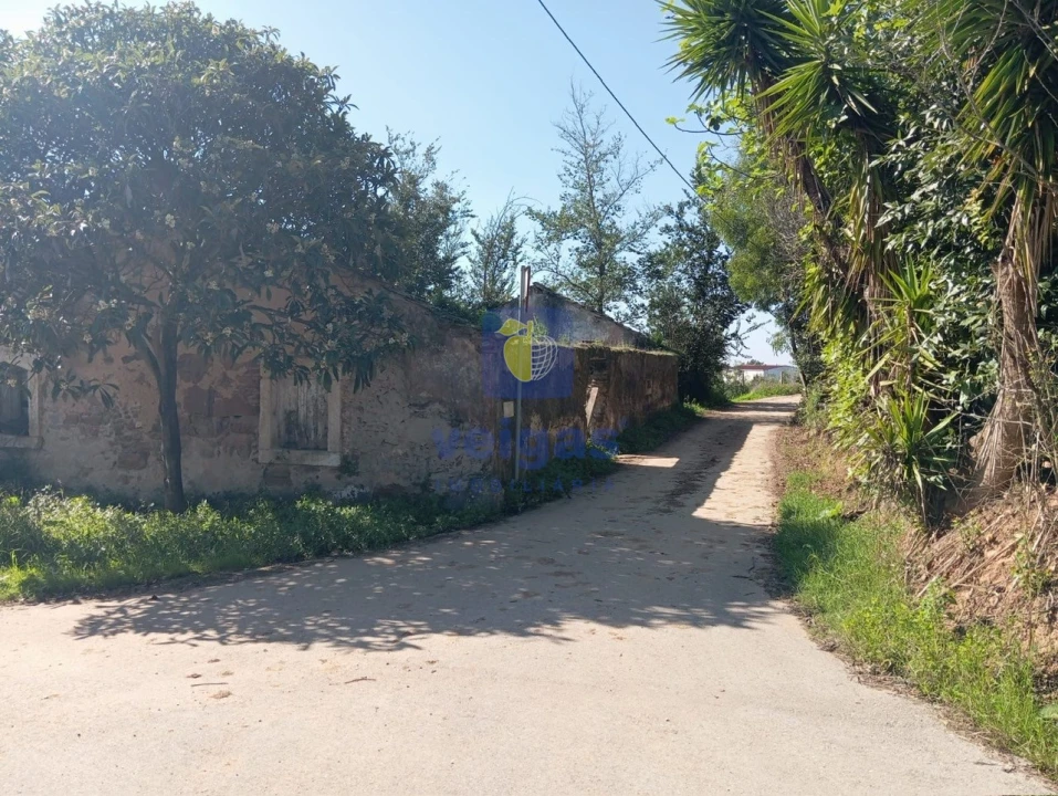 Terreno para Venda em Carvalhal Benfeito Foto 1