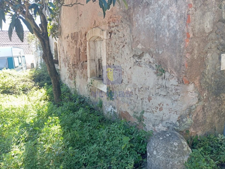 Terreno para Venda em Carvalhal Benfeito Foto 3