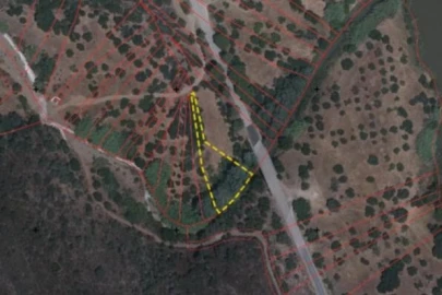 Terreno para Venda em Alcoutim e Pereiro