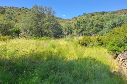 Terreno para Venda em Alcoutim e Pereiro
