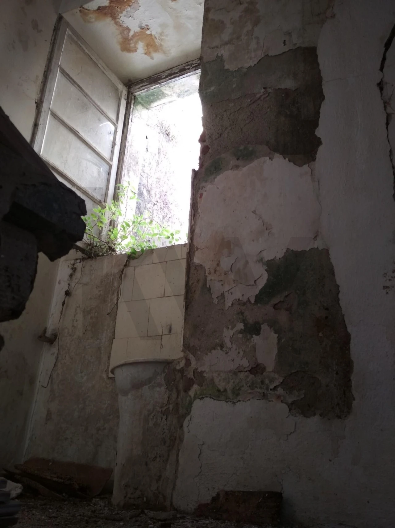 Prédio para Venda em Monchique Foto 5